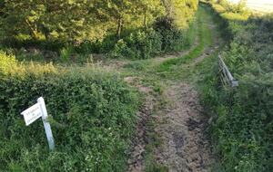 Farmhouse - Saxmundham, United Kingdom