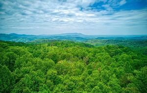 Mystic Moonlight - Sevierville, Tennessee