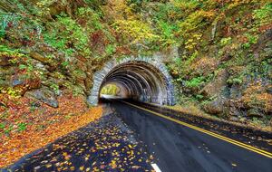 Mystic Moonlight - Sevierville, Tennessee