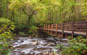 Mystic Moonlight - Sevierville, Tennessee