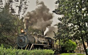 Mystic Moonlight - Sevierville, Tennessee