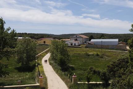 Palace in holm Oak Estate - Terradillos, Spain