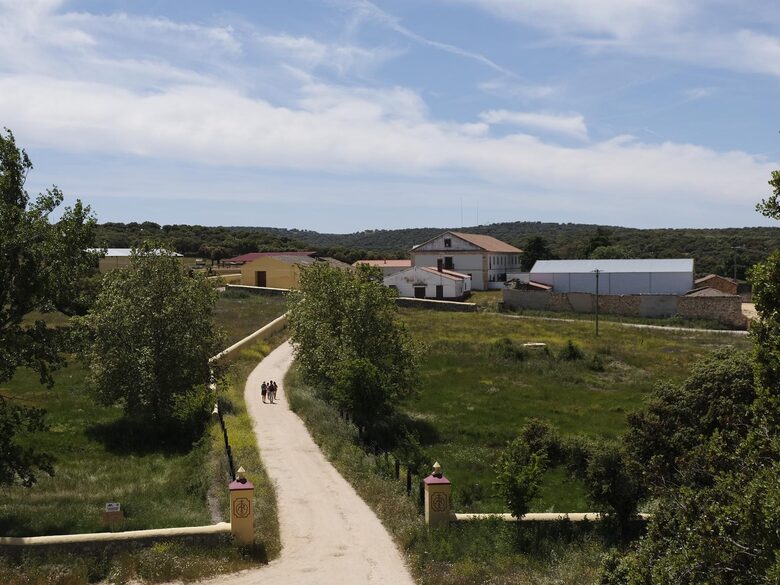 Palace in holm Oak Estate - Terradillos, Spain