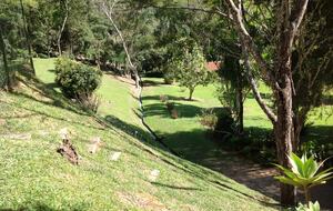 Hidden Haven: A Sanctuary in Rio’s Atlantic Forest - Petrópolis, Brazil