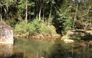 Hidden Haven: A Sanctuary in Rio’s Atlantic Forest - Petrópolis, Brazil