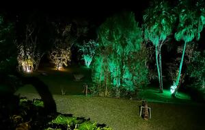 Hidden Haven: A Sanctuary in Rio’s Atlantic Forest - Petrópolis, Brazil