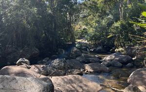 Hidden Haven: A Sanctuary in Rio’s Atlantic Forest - Petrópolis, Brazil