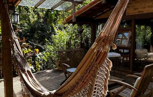 Hidden Haven: A Sanctuary in Rio’s Atlantic Forest - Petrópolis, Brazil