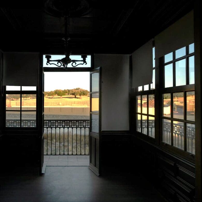 Palace in holm Oak Estate - Terradillos, Spain