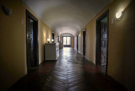 Palace in holm Oak Estate - Terradillos, Spain