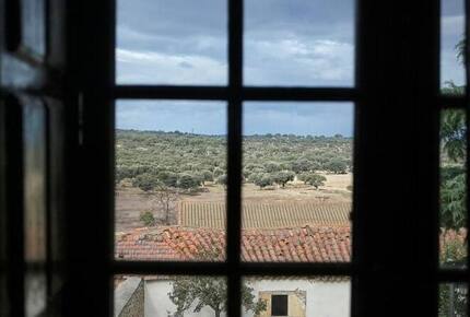 Palace in holm Oak Estate - Terradillos, Spain