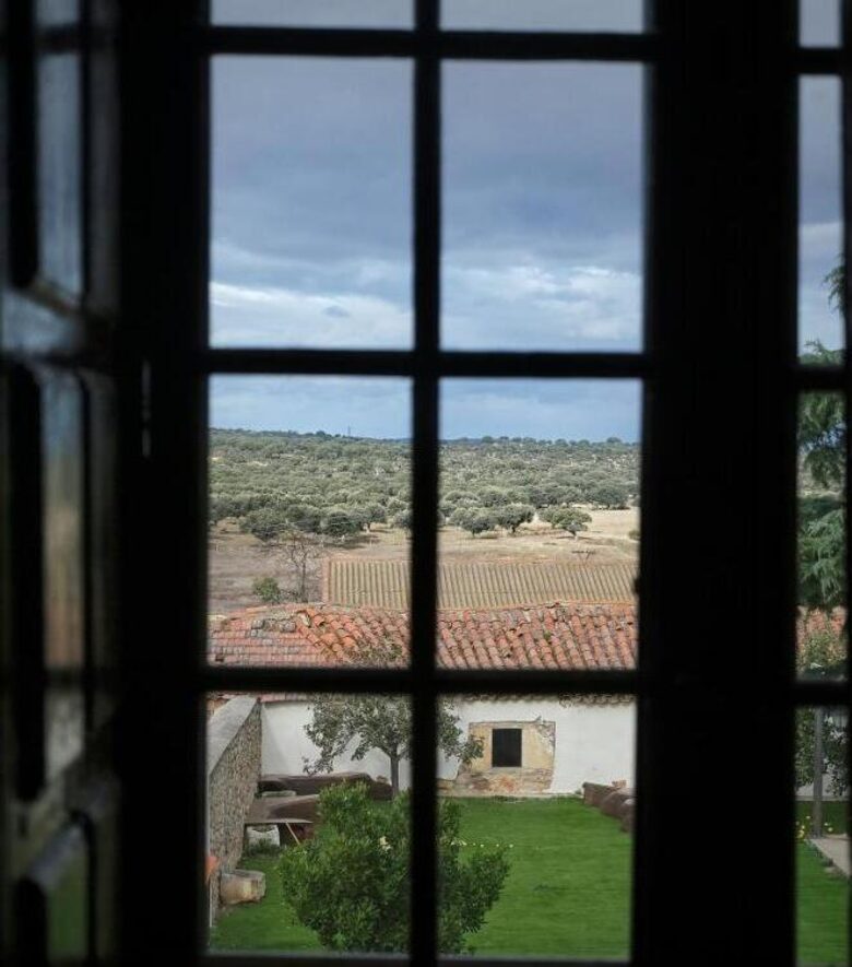 Palace in holm Oak Estate - Terradillos, Spain