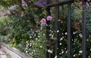 Haven on High - Campbell Town, Australia