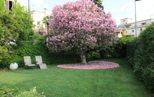 Villa Ines - Lido Venice, Italy