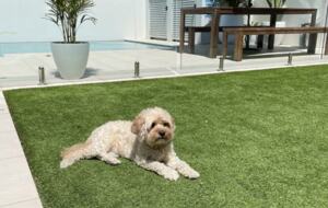 Bahamas on Brooks - Newcastle, Australia