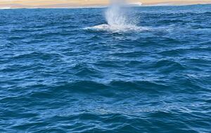 Chic Cabo Getaway | Panoramic Ocean View, Hot Tub, Top Surf Breaks - San José del Cabo, Mexico