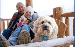 Bridger Vista Lodge - Escape to rural Montana - Bozeman, Montana