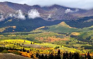Leadville in the fall with the leaves all golden
