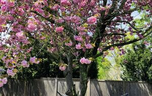 Charming Coastal Retreat | Spacious Beach House with Luxury Amenities - Fairfield, Connecticut