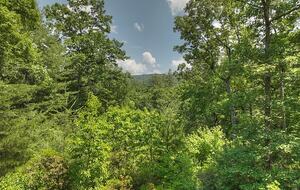 Cabin on the top of Woody Mountain - Blue Ridge, Georgia