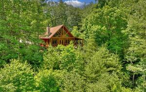 Cabin on the top of Woody Mountain - Blue Ridge, Georgia