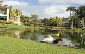 Villa Alma - Vega Alta, Puerto Rico