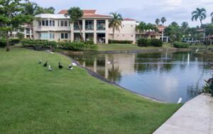 Villa Alma - Vega Alta, Puerto Rico