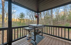 Cozy Cabin on 2 Acres nestled in Blue Ridge Mountains - Blue Ridge, Georgia