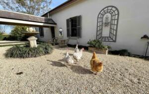 The Cottage | Berry House - Berry Park, Australia