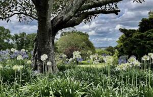 The Cottage | Berry House - Berry Park, Australia