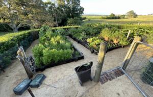 The Cottage | Berry House - Berry Park, Australia