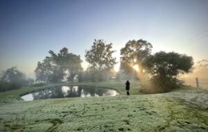 The Cottage | Berry House - Berry Park, Australia
