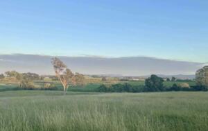 The Cottage | Berry House - Berry Park, Australia