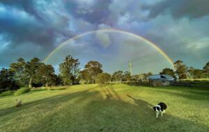 The Cottage | Berry House - Berry Park, Australia