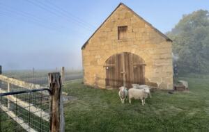 The Cottage | Berry House - Berry Park, Australia