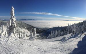 Cosmic Cowboy Retreat - Whitefish, Montana