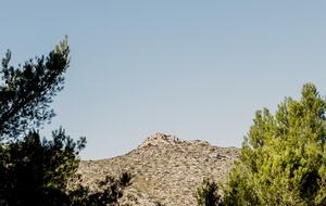 Tranquil Seaside Villa | Mallorca - Cala San Vicente, Pollença, Spain