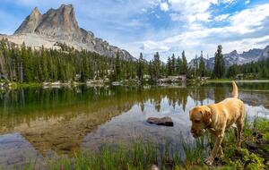 Sun Valley - Ten Minute Stroll To Village Square Shops & Restaurants - Sun Valley, Idaho
