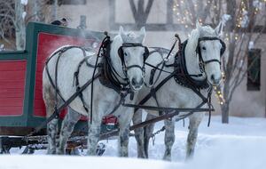 Sun Valley - Ten Minute Stroll To Village Square Shops & Restaurants - Sun Valley, Idaho