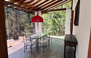 Hidden Haven: A Sanctuary in Rio’s Atlantic Forest - Petrópolis, Brazil