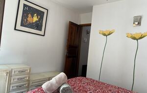 Hidden Haven: A Sanctuary in Rio’s Atlantic Forest - Petrópolis, Brazil