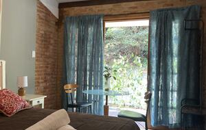 Hidden Haven: A Sanctuary in Rio’s Atlantic Forest - Petrópolis, Brazil