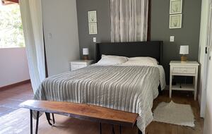 Hidden Haven: A Sanctuary in Rio’s Atlantic Forest - Petrópolis, Brazil