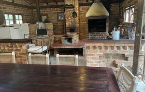 Hidden Haven: A Sanctuary in Rio’s Atlantic Forest - Petrópolis, Brazil