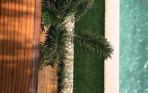 Casa Cangrejos - Santa María Colotepec, Mexico