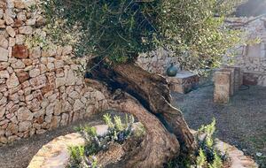 Finca Can Torrent - Santanyí, Mallorca, Spain
