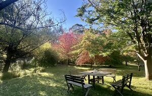 Picturesque Snowy Mountains Retreat - Yaouk, Australia