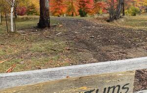 Picturesque Snowy Mountains Retreat - Yaouk, Australia