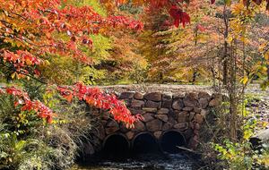 Picturesque Snowy Mountains Retreat - Yaouk, Australia