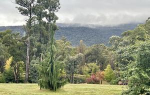 Picturesque Snowy Mountains Retreat - Yaouk, Australia